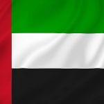UAE flag patriotic background texture.
